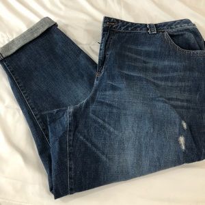 Lane Bryant boyfriend jeans